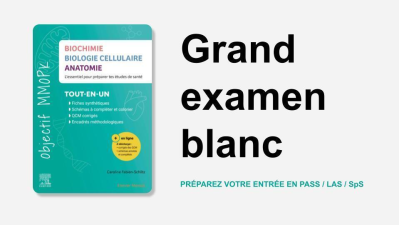 Grand examen blanc