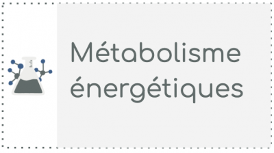 B5 - Métabolisme énergétique