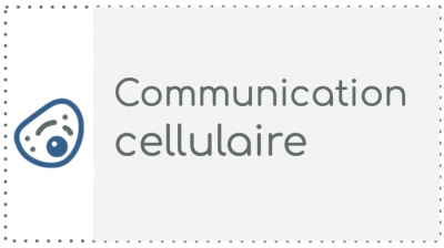 K2 - La communication cellulaire